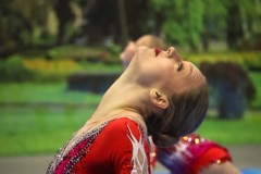 IMG_8655