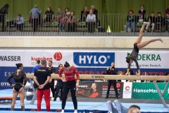 pihan-kulesza-kulbicki